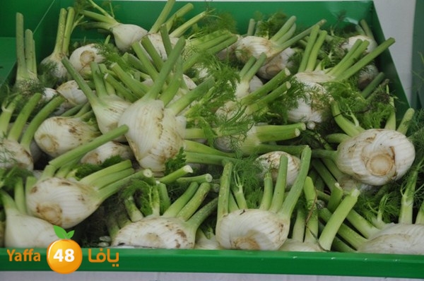 souq yaffa 0123 (30).JPG